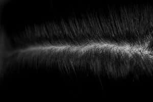 dermatologist for dandruff