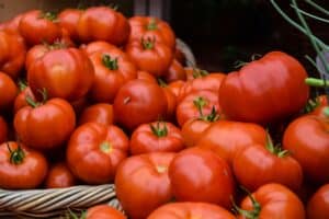 sunscreen for tanning as depicted by tomatoes